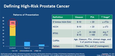 emerging systemic treatment strategies for high risk clinically localized prostate cancer