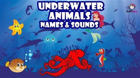 Sea Animals Names And Sounds For Kid Learn Real Life Ocean Animal