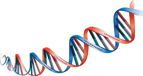 Dna Png Unduh File Gratis Png Play