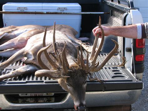 Record Buck Shot In Lycoming County Pennsylvania Hunt Fish Shoot