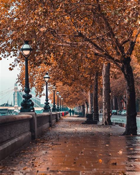 Rainy Day Autumn Walk In London 🍁😍♥️ Autumn In London Photo By