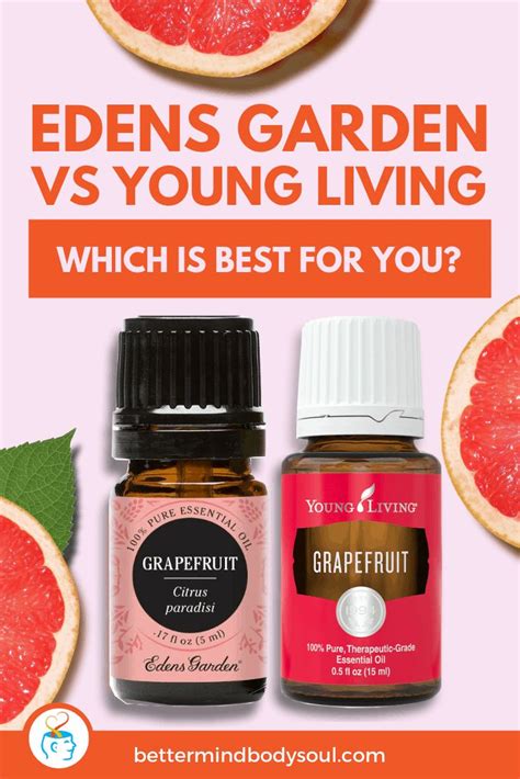 Edens Garden Vs Young Living Which Is Best For You Edens Garden