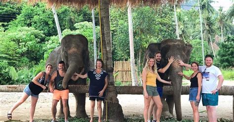 Elephant Sanctuary Half Day Tour From Krabi