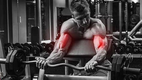 How To Build Bigger Arms With Biceps 21s Fitness Volt
