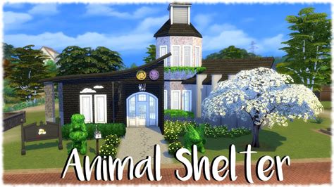 The Sims 4 Speed Build Animal Shelter Cats And Dogs Youtube