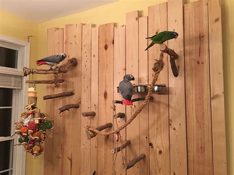 Great Idea If You Have Wall Space But No Floor Space Parrot Toys