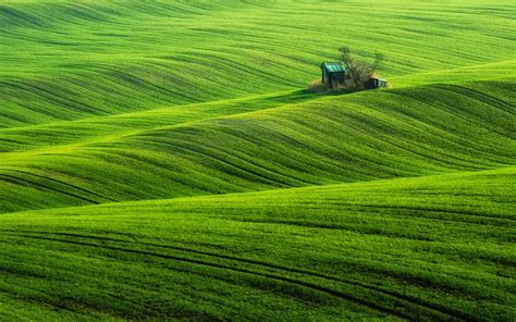 Beautiful Field Wallpapers | Most beautiful places in the ...