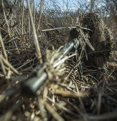 Marine Scout Snipers Shooting High Resolution Chive Hd Phone Wallpaper