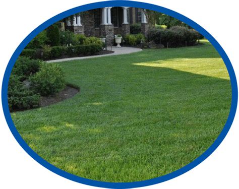 Finding the right lawn care guy. Pricing | Fishwater Landscaping