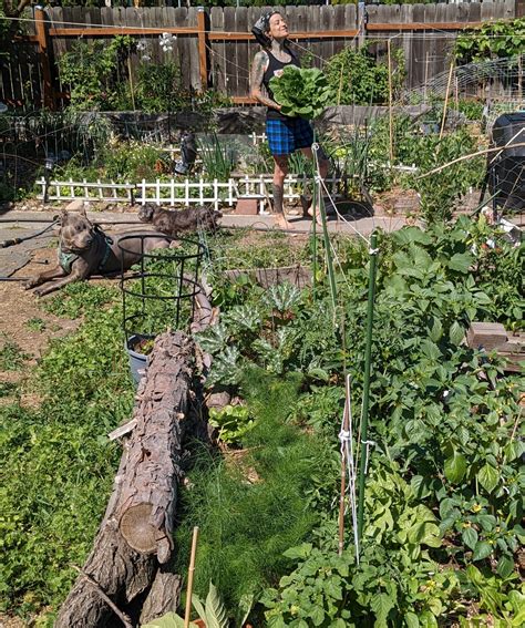 the trash garden hub - resonanteye