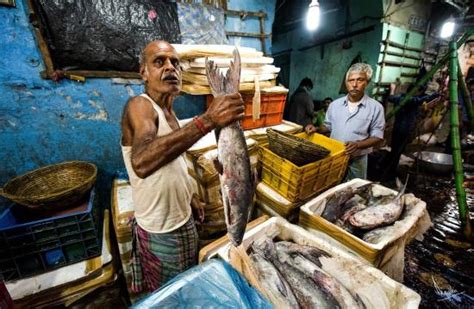 Wholesale Fish Market Picture Of Calcutta Photo Tours Kolkata