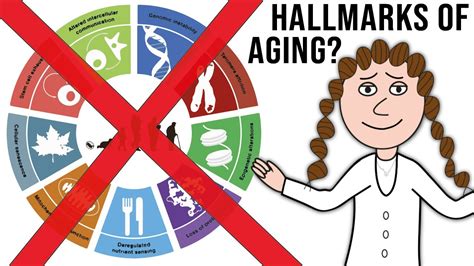 Hallmarks Of Aging Time For A Paradigm Shift Youtube