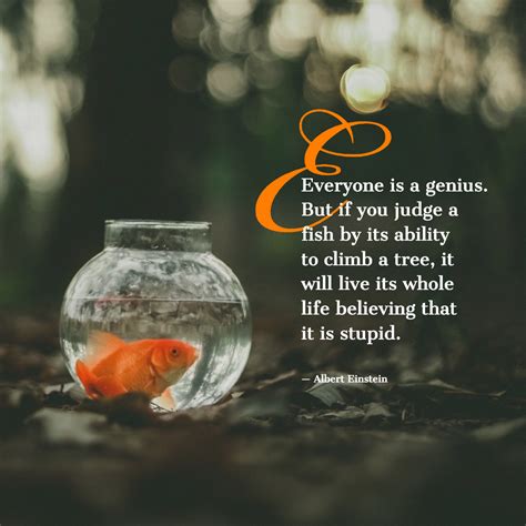 Fish In A Tree Quote Claire Trend