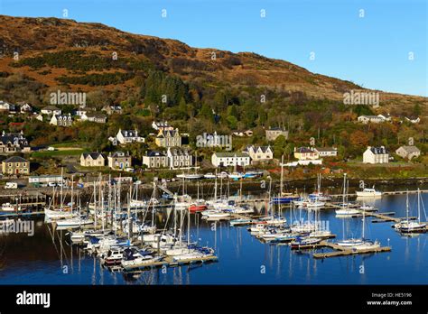 Elevated View Of Marina At Fishing Village Of Tarbert On Loch Fyne In