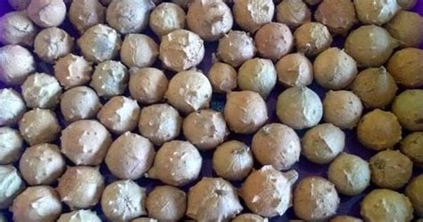 Resik v khasiat manjakani 90ml. Buah Manjakani, Anti Bakteri yang Efektif untuk Perawatan ...