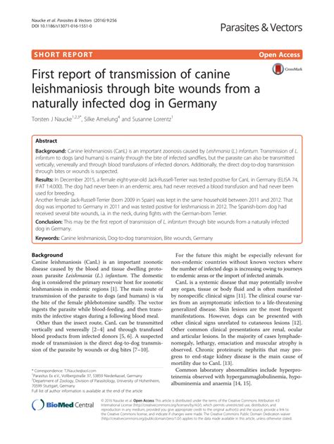 Pdf First Report Of Transmission Of Canine Leishmaniosis Through Bite