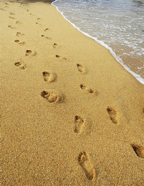 8.68mb, footprints on the sand beach ocean water picture with. Footprints On Beach Sand Photograph by Poornima Viswanathan