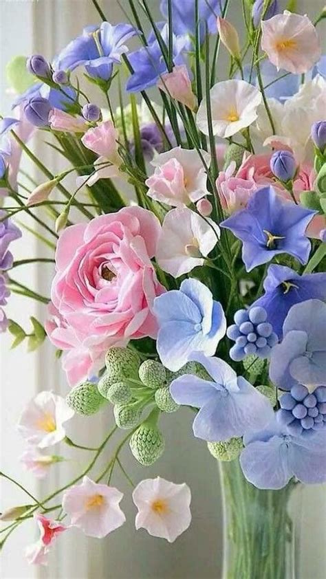 Uğur Taç On Twitter Beautiful Flowers Amazing Flowers Beautiful