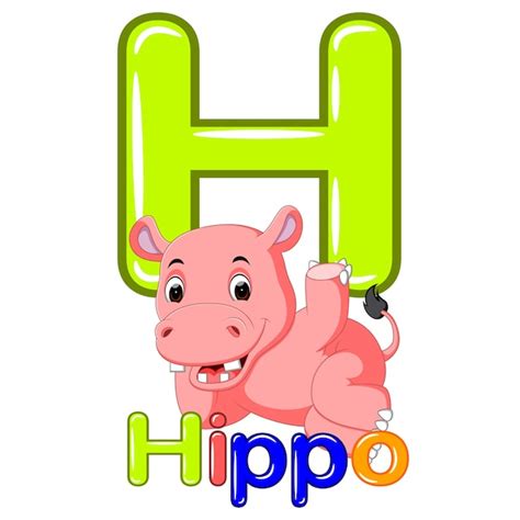 Alfabeto De Animales H Es Para Hipopótamos Vector Premium