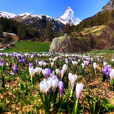 Matterhorn Zermatt Welcome Spring Zermatt Road Trip Europe Scenery