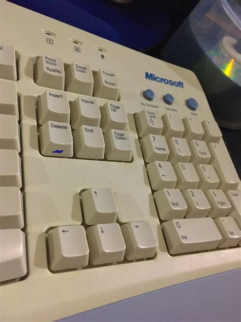 Found An Old Microsoft Keyboard From 2000 In The Basement Rnostalgia