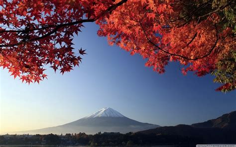 4k 5k 6k Autumn Mountains Sky Mount Fuji Japan Trees Clouds