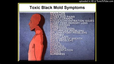 As Promised This Article Will Explore Specific Illnesses That Have Been Linked To Mold Exposure