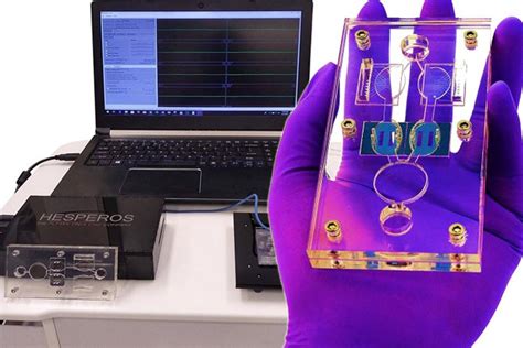 3D-печать лабораторий-на-чипе: SLA, FDM или PolyJet?