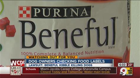 Lawsuit Claims Purinas Popular Beneful Dog Food Is Hurting And Killing