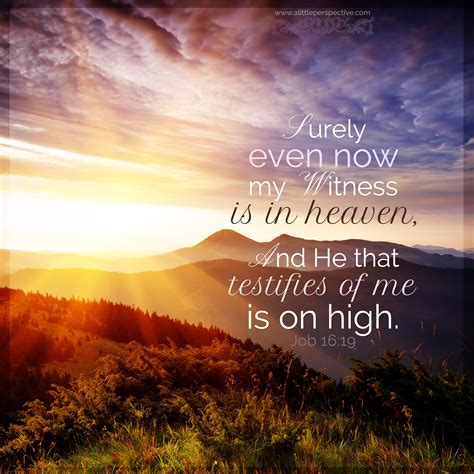 job 16-19 300px | Book of job, Scripture pictures, Scripture quotes