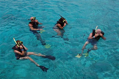 Rich Harrills Aruba Snorkeling With De Palm Tours