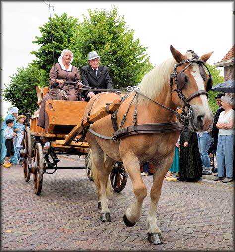 Dutch Authentic Carriages 04 Free Stock Photo Public Domain Pictures