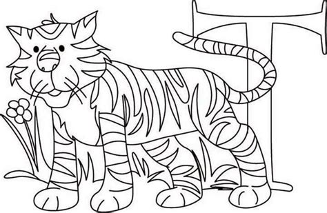 Learn Letter T For Tiger Coloring Page Learn Letter T For Tiger