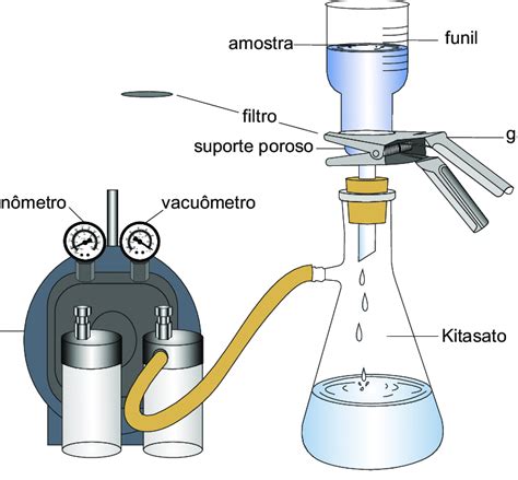 5 Esquema De Montagem Do Sistema Para Filtração A Vácuo Download