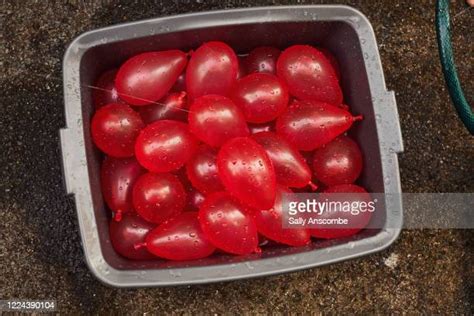 Bucket Of Water Balloons Photos And Premium High Res Pictures Getty