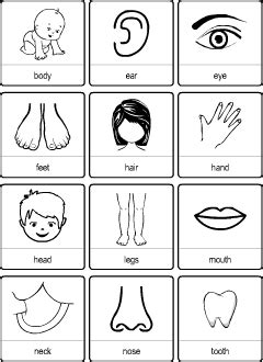 Preschool Matching Coloring Preschool Matching Body Parts Worksheet - Preschool Worksheet Gallery
