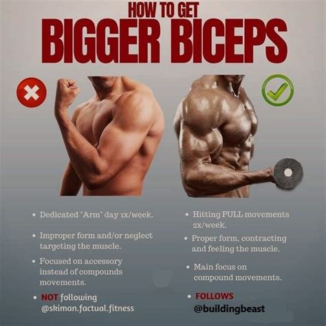 Proven Techniques To Get Bigger Biceps Complete Guide