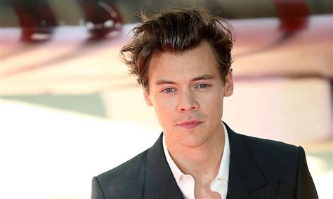 Harry Styles Bio Age Height Weight Early Life Career And More Live Biography