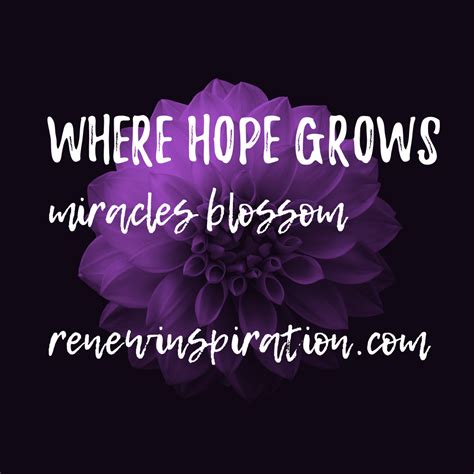 Where Hope Grows Miracles Blossom Mind Body