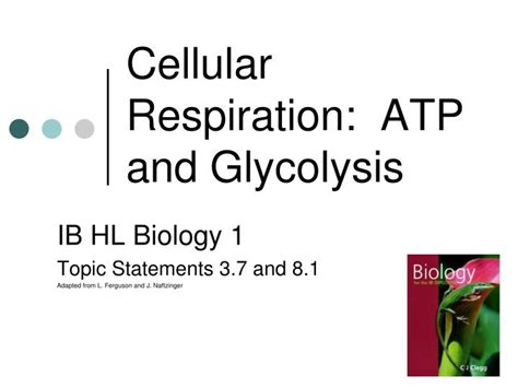 Ppt Cellular Respiration Atp And Glycolysis Powerpoint Presentation