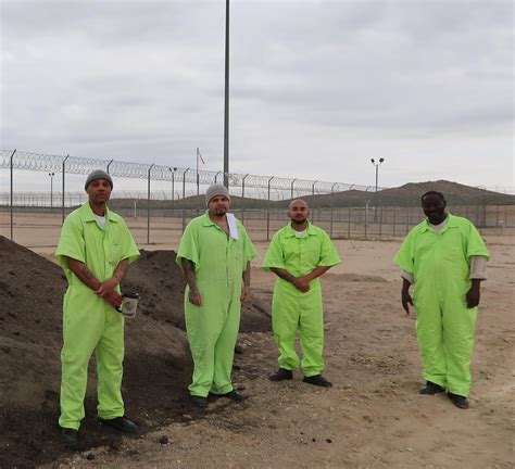 My Experience In The California City Correctional Facility Seed Program