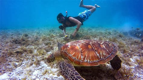 Thirteen Of The Best Snorkelling Spots In Sydney For 2023