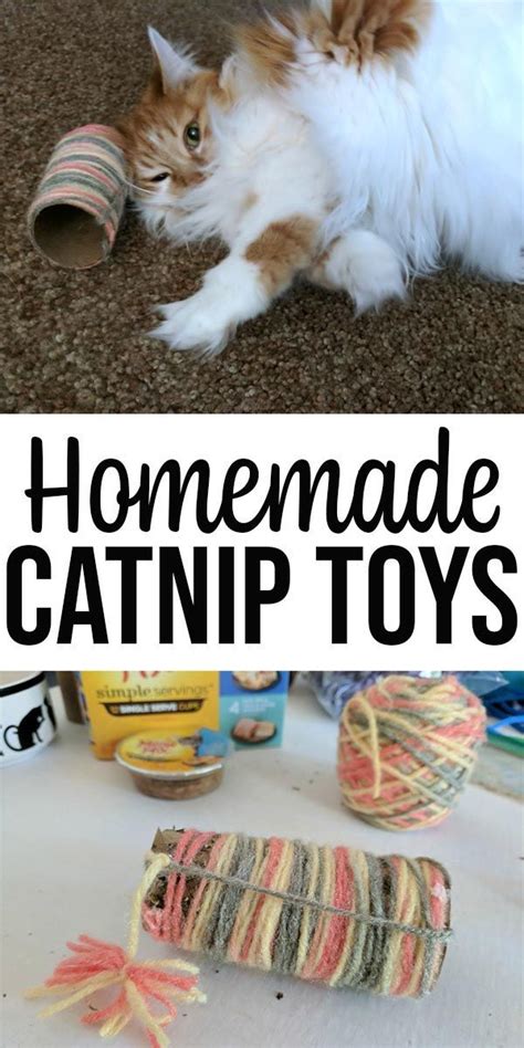 3 Super Easy Homemade Catnip Toys Your Cat Will Love Diy Pet Toys