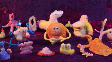 Hack Your Health: The Secrets of Your Gut (2024) - AZ Movies