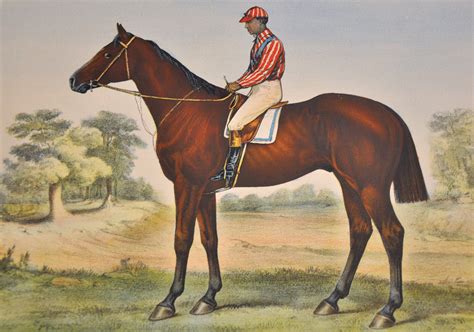 Once Black Jockeys Ruled the Tracks | Horses, Churchill downs, Animals