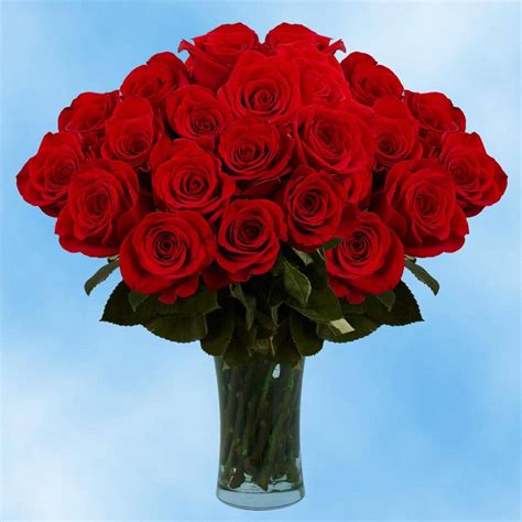 globalrose fresh valentine s day red roses 75 extra long stems 75 red roses vd the home depot
