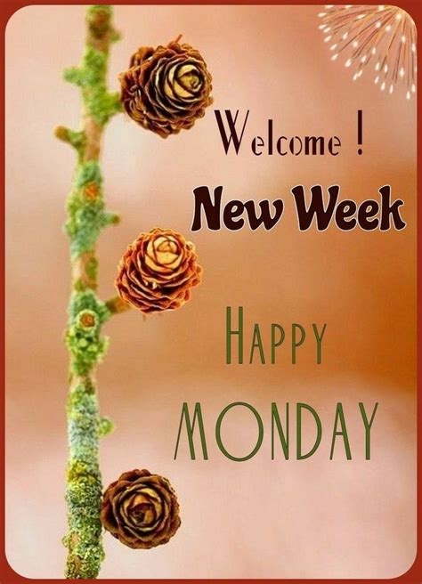 A Close Up Of A Plant With Pine Cones On It And The Words Welcome New Week