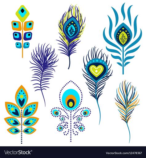 peacock feathers clipart royalty free vector image