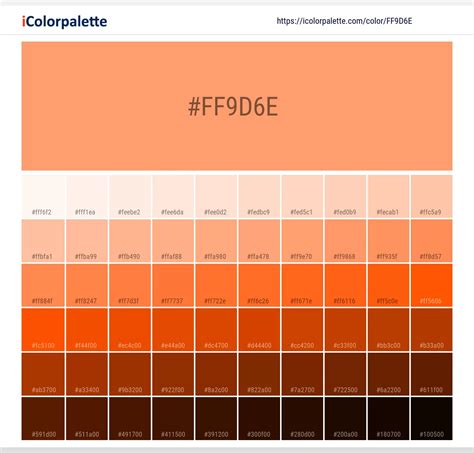 Pantone 163 C Color Hex Color Code Ff9d6e Information Hsl Rgb