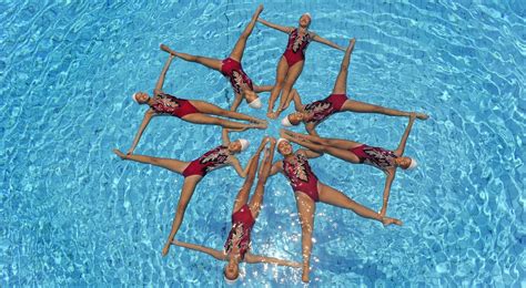 Sports Team Nature Teenager Cooperation S Swimming Pool Swimming